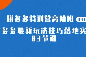 2023拼多多·特训营高阶班【9月13日更新】拼多多最新玩法技巧落地实操-83节