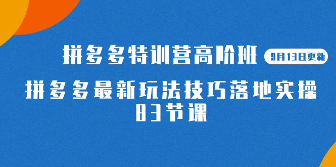 2023拼多多·特训营高阶班【9月13日更新】拼多多最新玩法技巧落地实操-83节插图