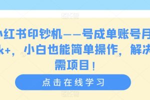 小红书印钞机——号成单账号月入5k+，小白也能简单操作，解决刚需项目【揭秘