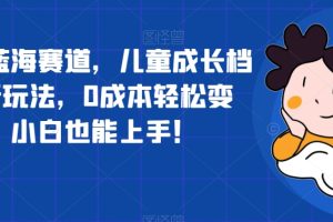 超冷门蓝海赛道，儿童成长档案全新玩法，0成本轻松变现，小白也能上手【揭秘】