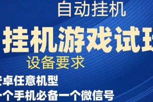 游戏试玩挂机，实测单机稳定50+