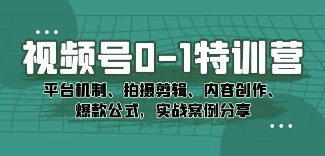 视频号0-1特训营：平台机制、拍摄剪辑、内容创作、爆款公式，实战案例分享插图