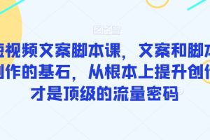 爆款短视频文案脚本课，文案和脚本是短视频创作的基石，从根本上提升创作能力才是顶级的流量密码