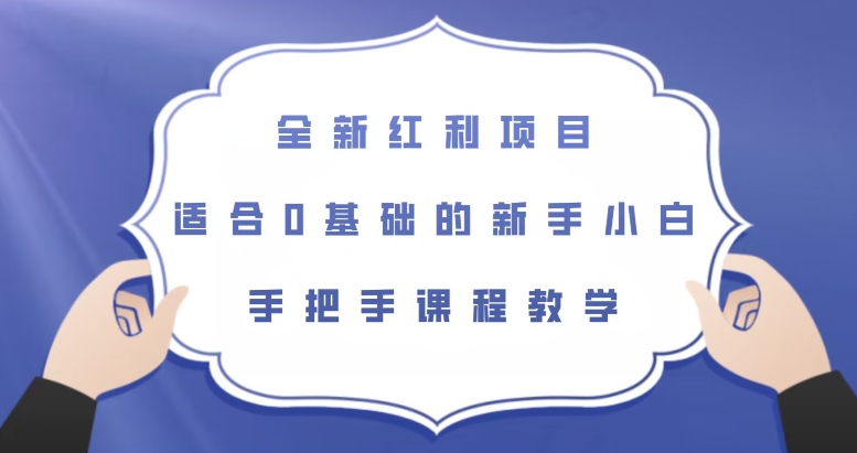 全新红利项目，适合0基础的新手小白，手把手课程教学【揭秘】插图