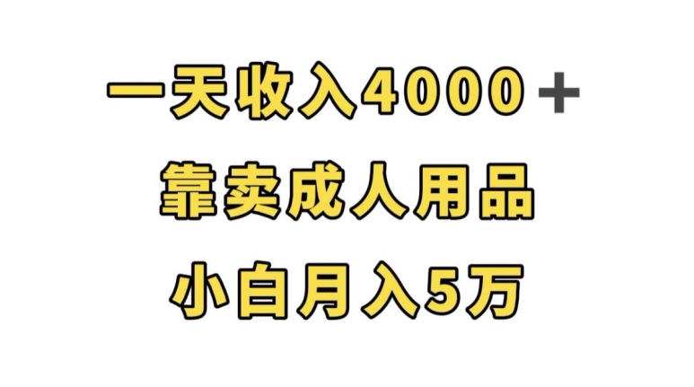 一天收入4000+，靠卖成人用品，小白轻松月入5万【揭秘】插图