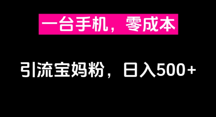 一台手机，零成本引流宝妈粉，日入500+插图