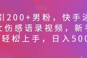 日引200+男粉，快手泳装美女伤感语录视频，新手小白轻松上手，日入500+