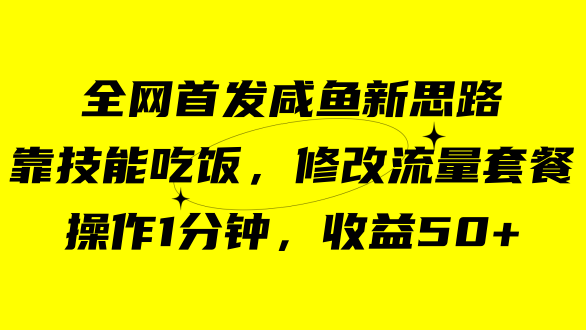 咸鱼冷门新玩法，靠“技能吃饭”，修改流量套餐，操作1分钟，收益50+插图