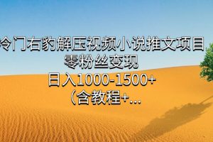 冷门右豹解压视频小说推文项目，零粉丝变现，日入1000-1500+（附1525G素材)