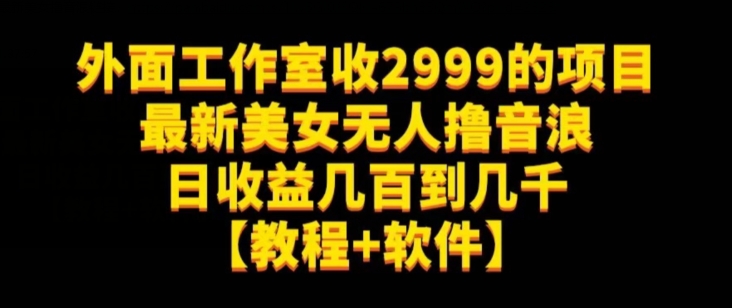 外面工作室收2999的项目最新美女无人撸音浪日收益几百到几千【教程+软件】（仅揭秘）插图