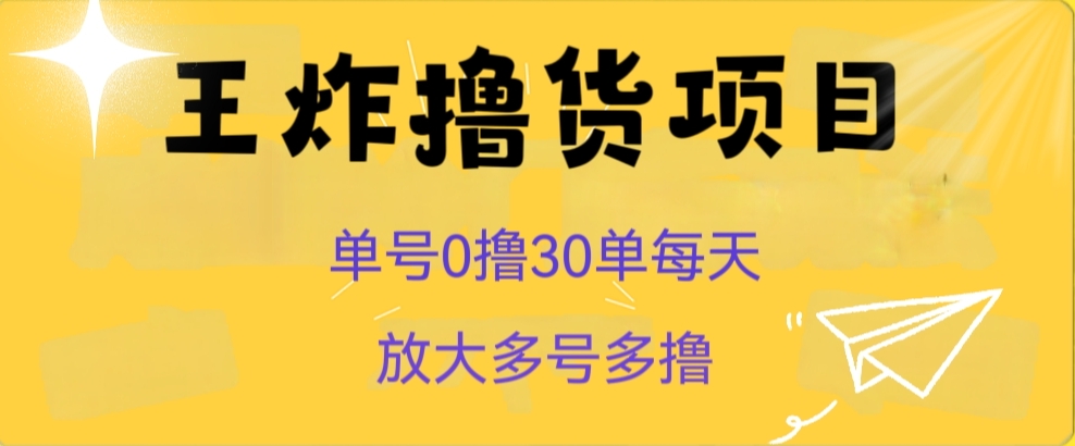 王炸撸货项目，单号0撸30单每天，多号多撸【揭秘】插图