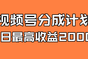 全新蓝海 视频号掘金计划 日入2000+