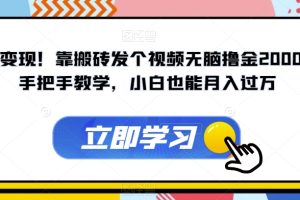 暴力变现！靠搬砖发个视频无脑撸金2000+！手把手教学，小白也能月入过万【揭秘】