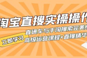 淘宝直搜实操操作 直通车与手淘搜索完美结合（高级运营课程+直搜精华实战）