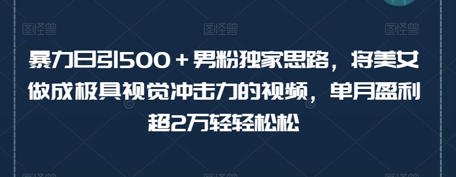 暴力日引500＋男粉独家思路，将美女做成极具视觉冲击力的视频，单月盈利超2万轻轻松松插图