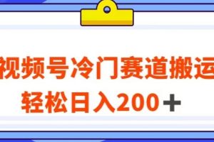 视频号最新冷门赛道搬运玩法，轻松日入200+【揭秘】