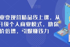 个人商业变现营精品线上课，从0到1升级个人商业模式，助你身价倍增，引爆赚钱力