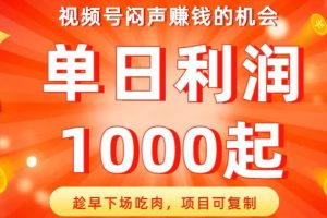 视频号闷声赚钱的机会，趁早下场吃肉，项目可复制，单日利润1000起【揭秘】