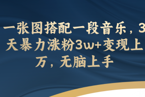 一张图搭配一段音乐，3天暴力涨粉3w+变现上万，无脑上手