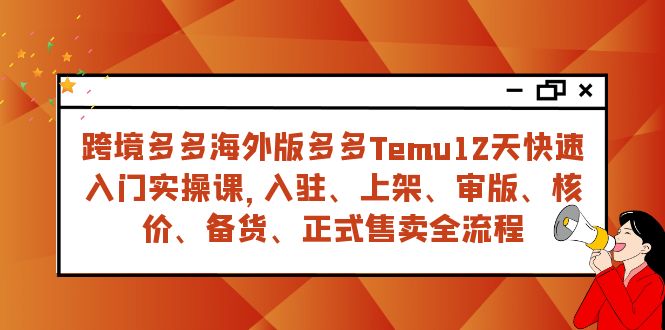 跨境多多海外版多多Temu12天快速入门实战课，从入驻 上架到正式售卖全流程插图