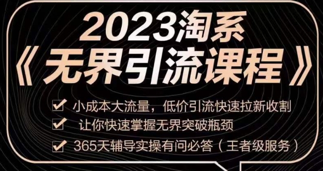 2023淘系无界引流实操课程，​小成本大流量，低价引流快速拉新收割，让你快速掌握无界突破瓶颈插图