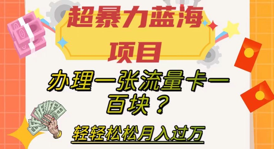 超暴力蓝海项目，办理一张流量卡一百块？轻轻松松月入过万，保姆级教程【揭秘】插图