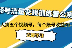 视频号流量变现训练营公测1.0：一个人搞五个视频号，每个账号收益30-50