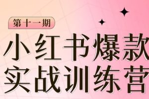 小红书博主爆款训练营第11期，手把手教你从0-1做小红书，从定位到起号到变现