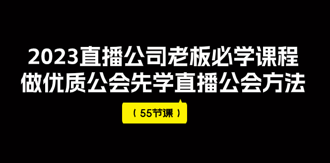 2023直播公司老板必学课程，做优质公会先学直播公会方法（55节课）插图