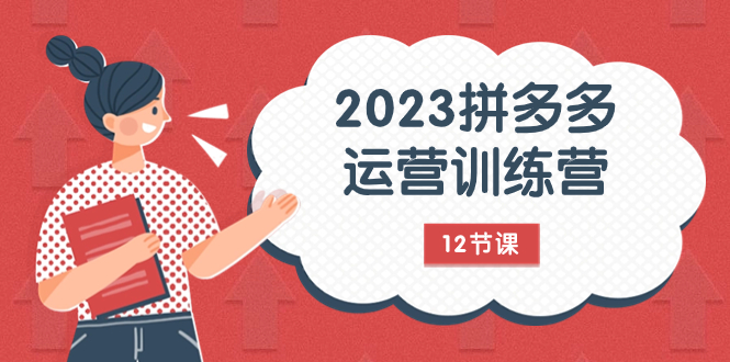 2023拼多多运营训练营：流量底层逻辑，免费+付费流量玩法（12节课）插图