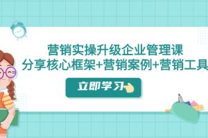 营销实操升级·企业管理课：分享核心框架+营销案例+营销工具（课程+文档）