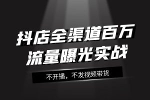 抖店-全渠道百万流量曝光实战，不开播，不发视频带货（16节课）