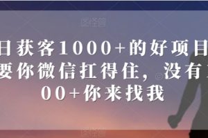 单日获客1000+的好项目，只要你微信扛得住，没有1000+你来找我【揭秘】