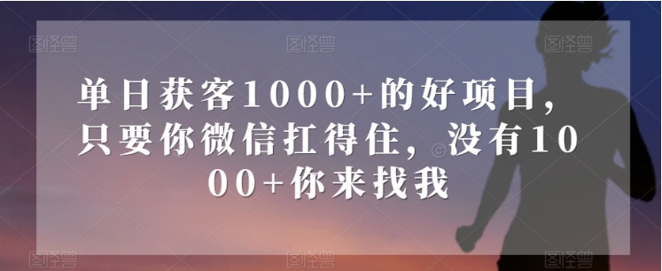 单日获客1000+的好项目，只要你微信扛得住，没有1000+你来找我【揭秘】插图