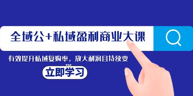 全域公+私域盈利商业大课，有效提升私域复购率，放大利润且持续变现插图