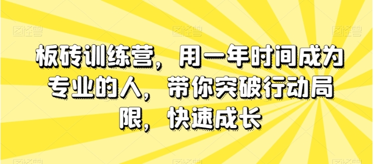 板砖训练营，用一年时间成为专业的人，带你突破行动局限，快速成长插图