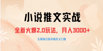 外面收费990的小说推广软件，零粉丝可变现，月入3000+，小白当天即上手插图