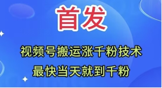 全网首发：视频号无脑搬运涨千粉技术，最快当天到千粉【揭秘】插图