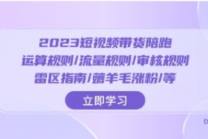 2023短视频·带货陪跑：运算规则/流量规则/审核规则/雷区指南/薅羊毛涨粉..