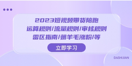 2023短视频·带货陪跑：运算规则/流量规则/审核规则/雷区指南/薅羊毛涨粉..插图