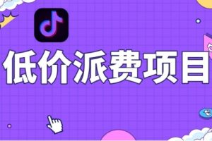 抖音低价派单项目，0门槛，日入1000+很轻松，小白可操作【揭秘】