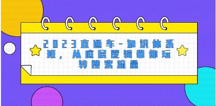 2023直通车-知识体系班，从底层逻辑带你玩转搜索流量（18节课）插图