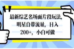 最新综艺名场面片段玩法，明星自带流量，日入200+，小白可做