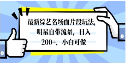 最新综艺名场面片段玩法，明星自带流量，日入200+，小白可做插图