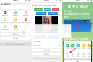 自带多平台解析接口短视频去水印图集水印小程序源码下载