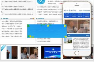 织梦dedecms电子商务协会资讯类网站模板(带手机移动端)