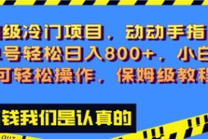 超级冷门项目,动动手指，单号轻松日入800+，小白也可轻松操作，保姆级教程