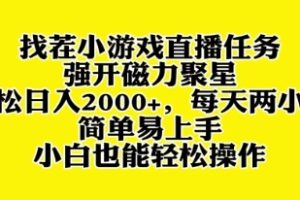 找茬小游戏直播，强开磁力聚星，轻松日入2000+，小白也能轻松上手