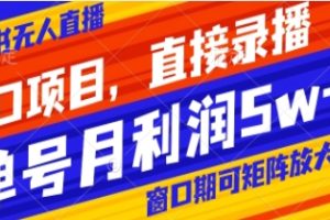 风口项目，小红书无人直播带货，直接录播，可矩阵，月入5w+