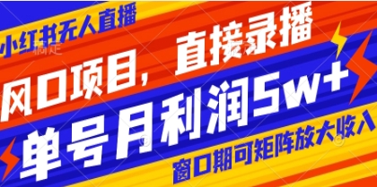 风口项目，小红书无人直播带货，直接录播，可矩阵，月入5w+插图